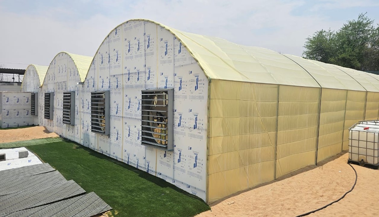 Green House work @ Al Ain